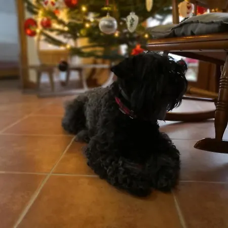 Malna Major Malyinka