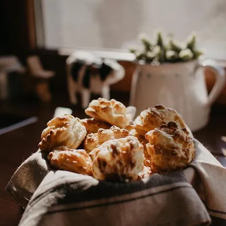 Malna Major 게스트하우스