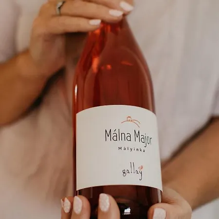 Málna Major Affittacamere Malyinka