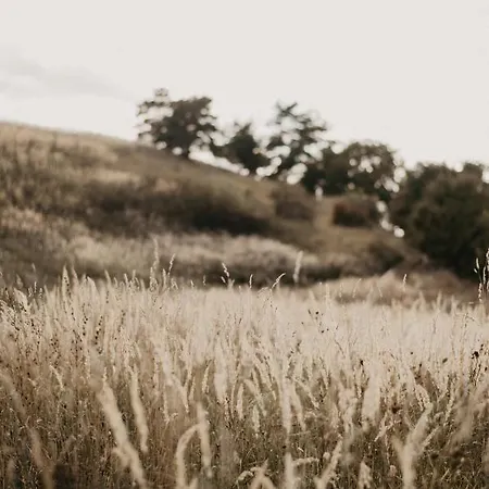 Malna Major 게스트하우스