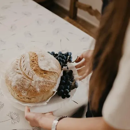 게스트하우스 Malna Major Malyinka