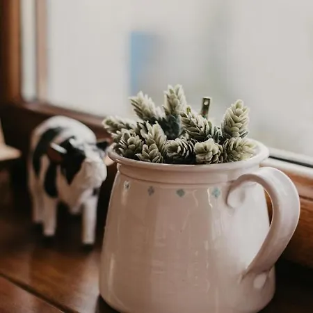 Malna Major 게스트하우스 Malyinka