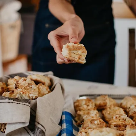 게스트하우스 Malna Major 4*