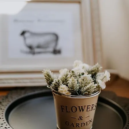 Malna Major Malyinka