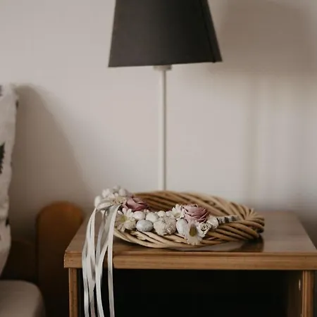 게스트하우스 Malna Major Malyinka