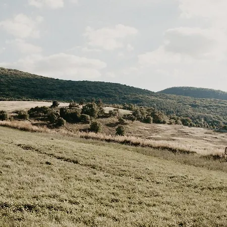 Malna Major Malyinka