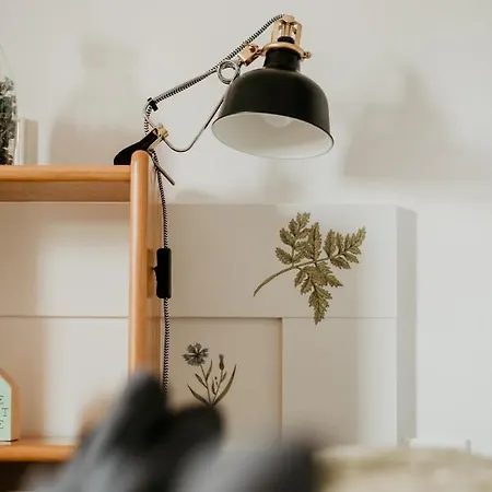 Malna Major 게스트하우스 4*