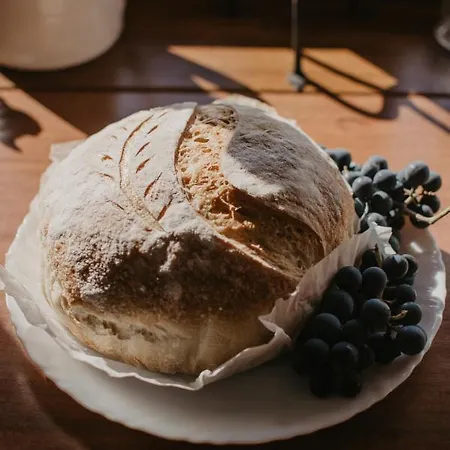 Malna Major 게스트하우스 4*