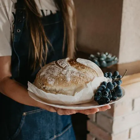 Malna Major 게스트하우스 4*