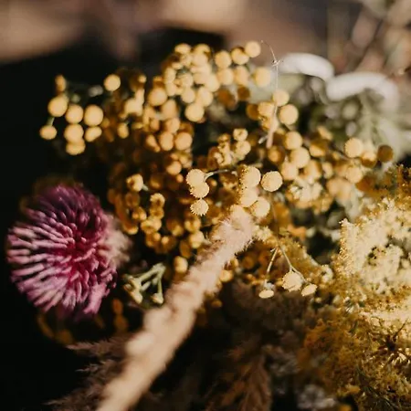 Malna Major 게스트하우스