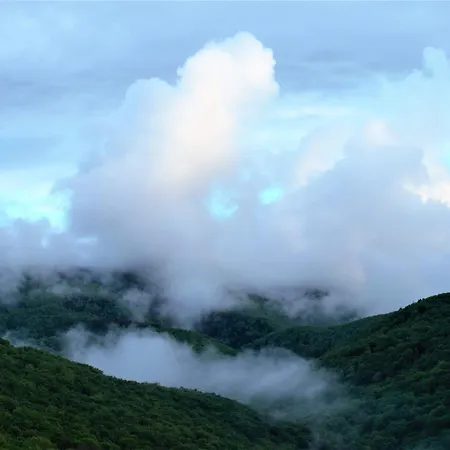 게스트하우스 Malna Major 4*