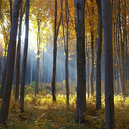 게스트하우스 Malna Major