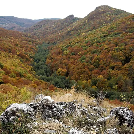 Malna Major 게스트하우스 4*