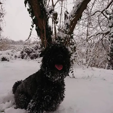 게스트하우스 Malna Major Malyinka