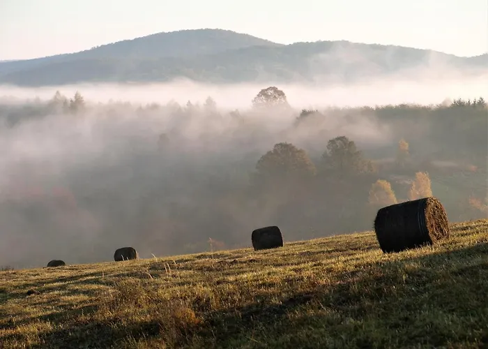 Pensjonat Malna Major Malyinka