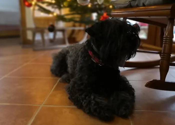 Malna Major Malyinka