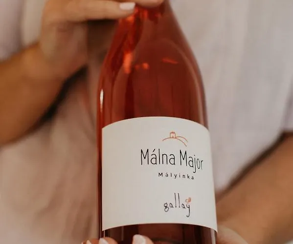 Malna Major بيت ضيافة Malyinka