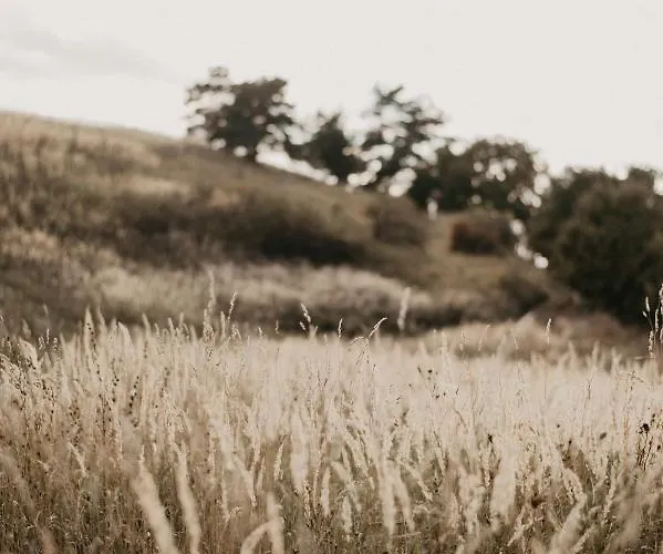 Malna Major Pensjonat