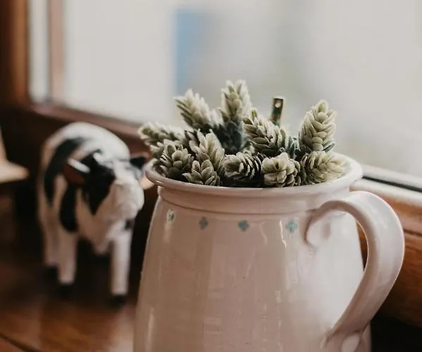 Malna Major Pensjonat Malyinka