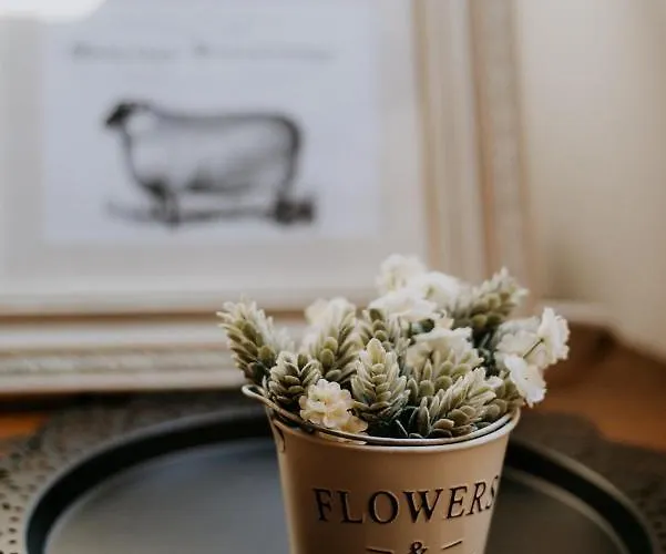 Malna Major Malyinka