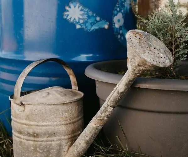 Malna Major Pensjonat Malyinka