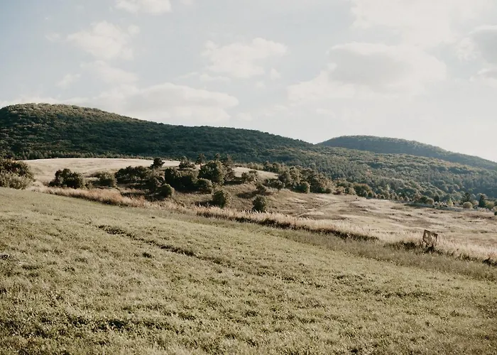 Malna Major Malyinka