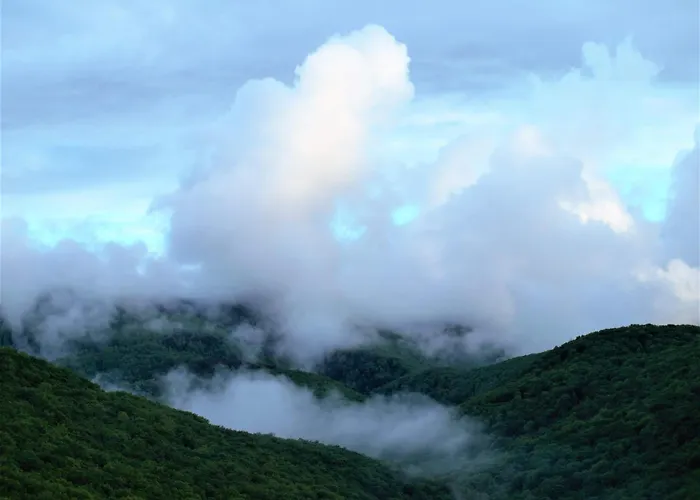 Pensjonat Malna Major 4*