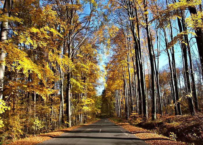 Malna Major Pensjonat Malyinka