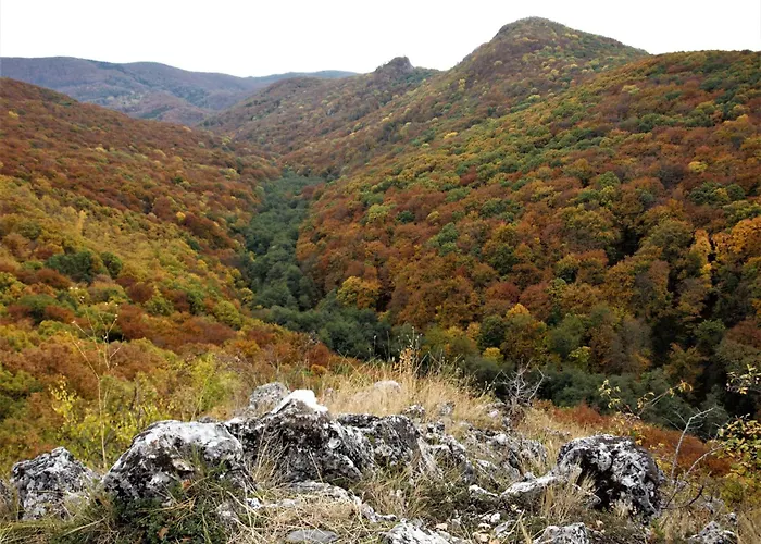 Malna Major Pensjonat 4*